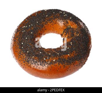 Köstlicher frischer Bagel mit Mohnsamen, isoliert auf weißem Boden Stockfoto