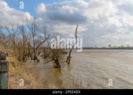 Hochwasser auf dem Mississippi, vom Fly aus gesehen, bei Meilenmarkierung 102 in New Orleans bis zum Westufer im Hintergrund Stockfoto