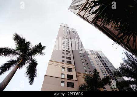 Flachblick auf moderne Wohngebäude mit Palmen. Modernes Stadtbild, Wolkenkratzer in tropischem Klima Stockfoto