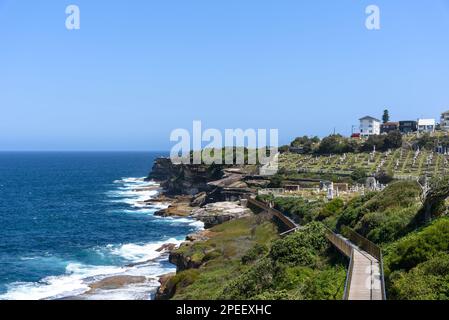 Menschen, die auf dem Bondi zum Coogee Walk laufen, während er am Waverley Cemetery in Sydney, Australien vorbeiführt Stockfoto