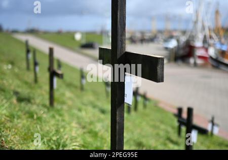 Greetsiel, Deutschland. 15. März 2023. Schwarze Kreuze sind ein stiller Protest der Fischer auf dem Deich im Hafen. Die hölzernen Kreuze sollen zur Zeit die Aufmerksamkeit auf eine unmittelbare Gefahr an vielen Küstenorten in Norddeutschland lenken: Die Fischer haben sie errichtet, weil sie das Ende ihrer Industrie fürchten. Konkret geht es um ein geplantes Verbot von so genannten Grundschleppnetzen. Kredit: Lars Klemmer/dpa/Alamy Live News Stockfoto