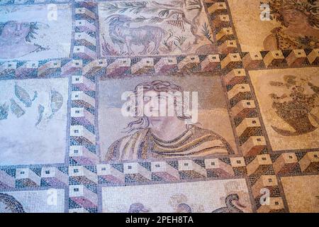 23. Mai 2022, Paphos, Zypern: Teil des Four Seasons Mosaik im Haus des Dionysos im archäologischen Park Kato Paphos. Nea Pafos ist eine archäologische Stätte in der Nähe des Hafens von Paphos in Zypern, die die Überreste der einst Hauptstadt der Insel beherbergt. Seit 1980 gehört Nea Pafos zum UNESCO-Weltkulturerbe. Die Republik Zypern steht an einer historischen und kulturellen Kreuzung zwischen Europa und Asien. Ihre wichtigsten Städte - die Hauptstadt von Nikosia, Limassol, Famagusta und Paphos haben die Einflüsse von Generationen von Eroberern, Pilgern und Reisenden aufgenommen und haben eine Atmosphäre, die sowohl cosmopolit ist Stockfoto