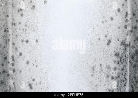 Pilzschimmelflecken an der weißen Raumwand Stockfoto
