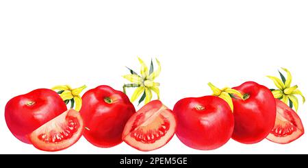 Aquarelle Tomaten, horizontaler Rand, Blumen, Brunches, handgezeichnete Illustration, Rote Gemüseskizze auf weißem Hintergrund Stockfoto