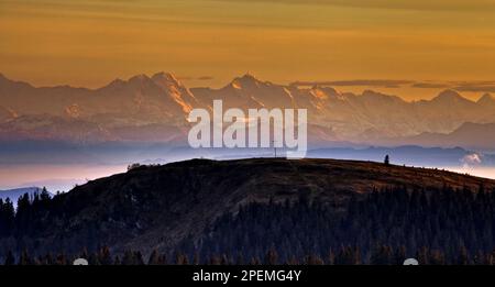 Blick über das Herzogenhorn 1415 m bis zu den Schweizer Alpen Stockfoto