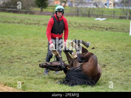 Willie Mullins trainiertes Pferd, klassischer Traum, rollt auf den Galops vor dem dritten Tag des Cheltenham Festivals auf der Cheltenham Racecourse. Foto: Donnerstag, 16. März 2023. Stockfoto