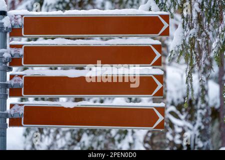 Vier leere Wegweiser in einem Wald im Winter, mit Schnee bedeckt. Stockfoto