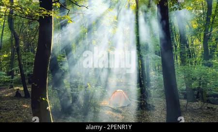 Die Sonnenstrahlen strömen durch den Rauch durch den Wald mit dem Zelt im Hintergrund. Stockfoto