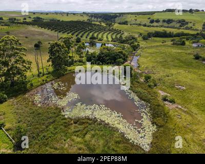 Blick auf die Drohne in der Oribi-Schlucht in der Nähe von Port Shepstone auf Südafrika Stockfoto