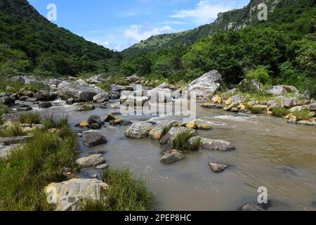 Blick auf die Oribi-Schlucht in der Nähe von Port Shepstone in Südafrika Stockfoto