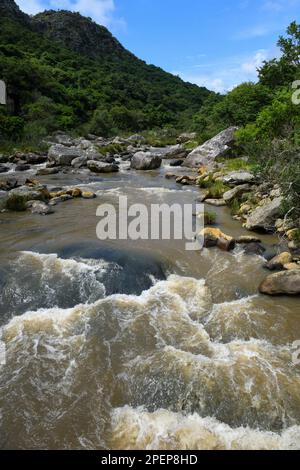 Blick auf die Oribi-Schlucht in der Nähe von Port Shepstone in Südafrika Stockfoto