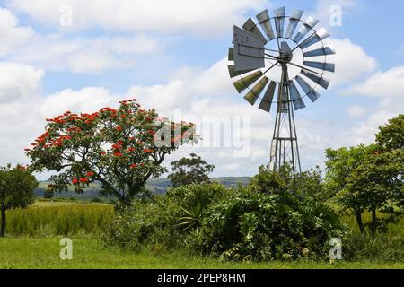 Blick auf eine Windmühle in der Oribi-Schlucht in der Nähe von Port Shepstone in Südafrika Stockfoto