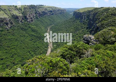 Blick auf die Drohne in der Oribi-Schlucht in der Nähe von Port Shepstone auf Südafrika Stockfoto