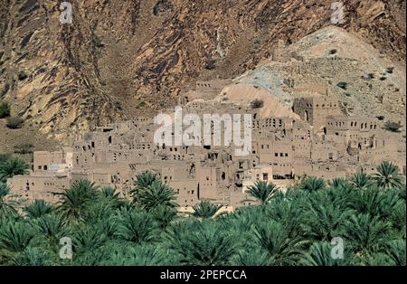 Schlammziegelruinen und Dattelpalmen im Oasendorf Birkat al Mouz, Oman Stockfoto