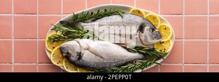Dorada-Fisch mit Zitronenscheiben und Rosmarin-Zweigen in einer ovalen Schüssel auf einem pinkfarbenen Fliesen-Banner, Draufsicht, Kopierbereich Stockfoto