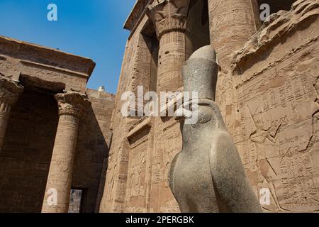 Der Tempel des Horus in Edfu in Assuan, Ägypten Stockfoto