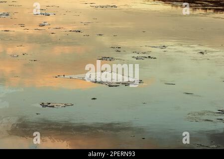 Echte, hübsche Eisschollen im Winter, Sonnenuntergang, Wasser in zarten Farben Stockfoto