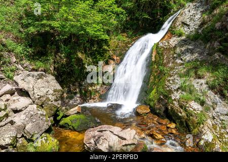 Wasserfall der Allerheiligen Wasserfälle im Schwarzwald, Deutschland Stockfoto