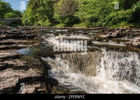 Stainforth Force) oder Foss) und die Packhorse Bridge in Stainforth, oben, in North yorkshire Stockfoto