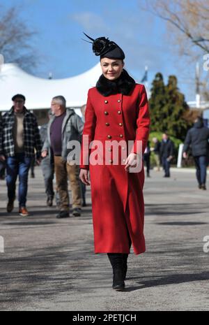 Megan Nicholls, Tochter des 13-maligen Champion-Springtrainers Paul Nicholls, ehemaliger Flat Jockey und jetzt TV-Punditen Racing auf der Cheltenham Rennbahn auf Da Stockfoto