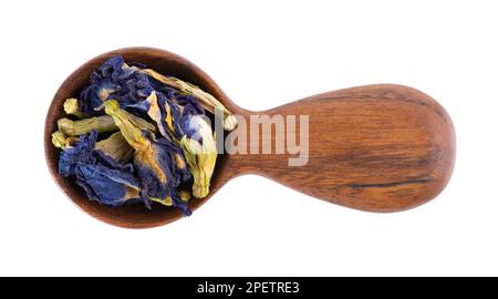 Schmetterlingserbsenblüten im Holzlöffel, isoliert auf weißem Hintergrund. Blauer Kräutertee. Clitoria Ternatea. Draufsicht Stockfoto