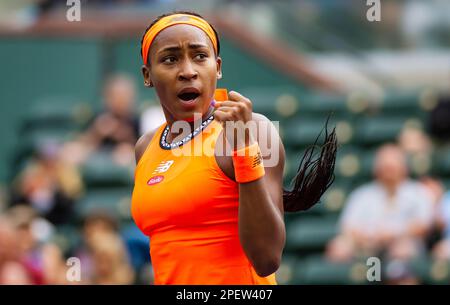 Coco Gauff von den Vereinigten Staaten in Aktion gegen Rebecca Peterson von Schweden während der vierten Runde des 2023. BNP Paribas Open, WTA 1000 Tennis Turnier am 14. März 2023 in Indian Wells, USA - Foto: Rob Prange/DPPI/LiveMedia Stockfoto