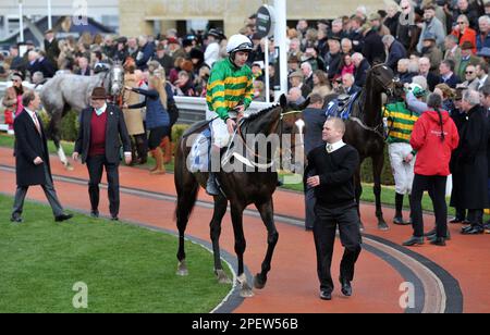 Rennen 2 die Trophäe „Sporting Life Arkle“ Jonbon, geritten von Aidan Coleman, betritt das Gewinnergehäuse, nachdem das zweite Pferderennen in Cheltenh beendet wurde Stockfoto