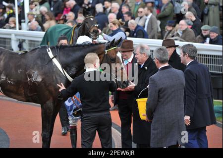 Rennen 2 die Trophäe „Sporting Life Arkle“ Jonbon, geritten von Aidan Coleman, betritt das Gewinnergehäuse, nachdem das zweite Pferderennen in Cheltenh beendet wurde Stockfoto