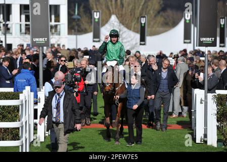 Rennen 2 der Gewinner des Sporting Life Arkle Trophy Race El Fabiolo Ridden by Paul Townend kommt in die Sieger Pferderennen bei Cheltenham R. Stockfoto