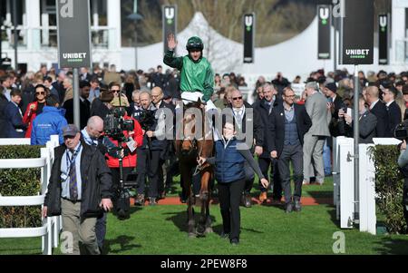 Rennen 2 der Gewinner des Sporting Life Arkle Trophy Race El Fabiolo Ridden by Paul Townend kommt in die Sieger Pferderennen bei Cheltenham R. Stockfoto