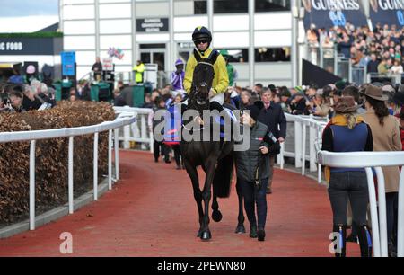 Race 1 Das Hürdenrennen Von Sky Bet Supreme Novice. Marine Nationale, geritten von Michael O'Sullivan, begeben Sie sich vor dem Rennen auf den Golfplatz. Ra Stockfoto