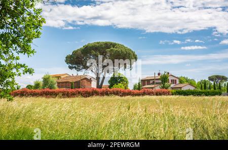 Toskanische Landschaft in der Nähe von Galleno, Fucecchio, Provinz Firenze, entlang der historischen Via Francigena - Toskana - Zentralitalien Stockfoto