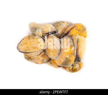 Gefrorener Muschelhaufen Isoliert, Muscheln Ohne Schale, Gefrorene Muscheln, Kalte Muscheln, Gefrorene Meeresfrüchte, Gekochte Schalentiere auf weißem Hintergrund, Draufsicht Stockfoto