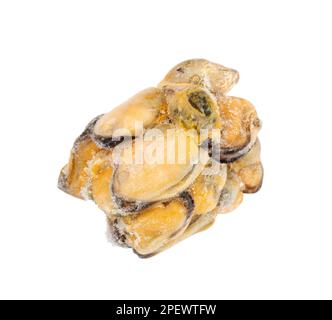 Gefrorener Muschelhaufen Isoliert, Muscheln Ohne Schale, Gefrorene Muscheln, Kalte Muscheln, Gefrorene Meeresfrüchte, Gekochte Schalentiere auf weißem Hintergrund, Draufsicht Stockfoto