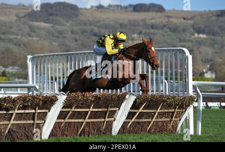 Rennen Sie Um 4 Uhr Die Unibet Champion Hürde. State man Ridted by Paul Townend springt zuletzt. Rennen auf der Rennbahn Cheltenham am 1. Tag des Festivals, der Stockfoto