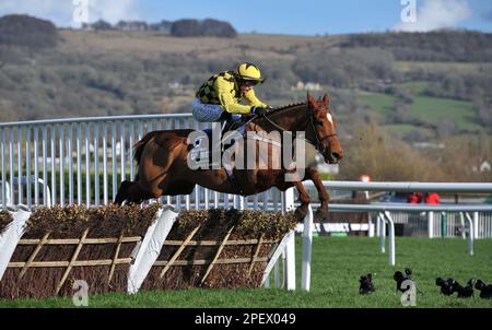 Rennen Sie Um 4 Uhr Die Unibet Champion Hürde. State man Ridted by Paul Townend springt zuletzt. Rennen auf der Rennbahn Cheltenham am 1. Tag des Festivals, der Stockfoto