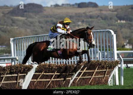 Rennen Sie Um 4 Uhr Die Unibet Champion Hürde. Jason, der militante Reiter von Joe Williamson, springt auf der Cheltenham Rennbahn am 1. Tag der Fez Stockfoto