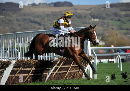 Rennen Sie Um 4 Uhr Die Unibet Champion Hürde. Jason, der militante Reiter von Joe Williamson, springt auf der Cheltenham Rennbahn am 1. Tag der Fez Stockfoto