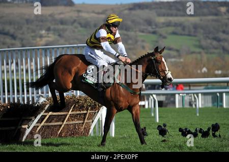 Rennen Sie Um 4 Uhr Die Unibet Champion Hürde. Jason, der militante Reiter von Joe Williamson, springt auf der Cheltenham Rennbahn am 1. Tag der Fez Stockfoto