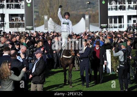 Rennen Sie Um 4 Uhr Die Unibet Champion Hürde. Der Gewinner des Rennens Constitution Hill, der von Nico de Boinville geritten wird, betritt die Rennbahn des Siegers in Cheltenham R. Stockfoto