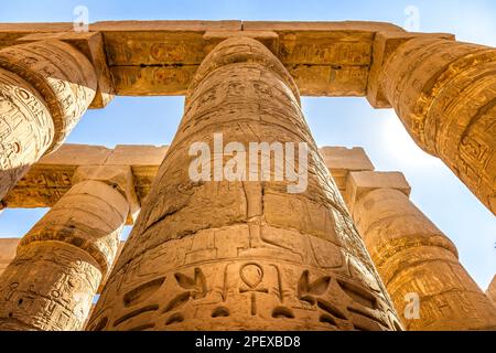 Beeindruckende Säulen im Karnak Portico, Luxor Ägypten Stockfoto