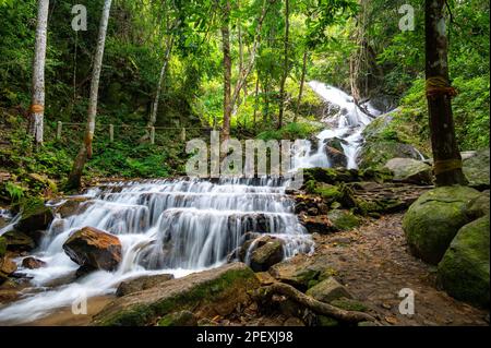 Der Wasserfall in der Nähe des Dorfes Mae Kampong, der Stadt Chiang Mai, Thailand. Frischer, fließender Wasserstrom im Dschungel. Thailändische Berge. Stockfoto