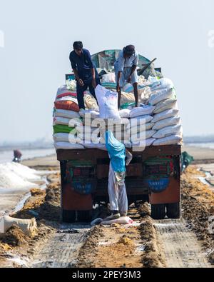 Bhambore Sindh Pakistan 2022, Arbeiter, die am frühen Morgen Meersalz auf LKW sammeln und stapeln, Bhambhore, auch bekannt als Bhanbhore Stockfoto