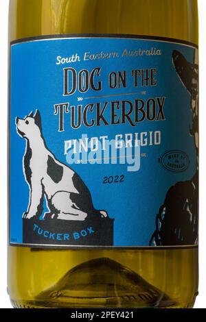 Etikett auf dem Hund auf der Tuckerbox Pinot Grigio 2022 Flasche Weißwein - Wein aus Südostaustralien Stockfoto