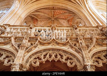 Die Abteikirche des ehemaligen königlichen Klosters Brou beherbergt einen der letzten Grabschirme Frankreichs im gotischen Flamboyant-Stil Stockfoto