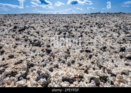 Popcorn Beach in der Nähe von Corralejo auf der Insel Fuerteventura auf den Kanarischen Inseln Stockfoto