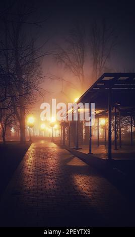 Wunderschönes Bild eines nebligen Abends im Shevchenko Park Kiew mit Lichtern und großen Bäumen Stockfoto