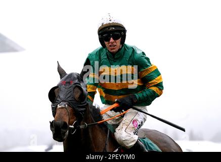 Sire Du Berlais reitete von Jockey Mark Walsh, nachdem er am dritten Tag des Cheltenham Festivals auf der Cheltenham Racecourse die Paddy Power Stainers' Hürde gewann. Foto: Donnerstag, 16. März 2023. Stockfoto