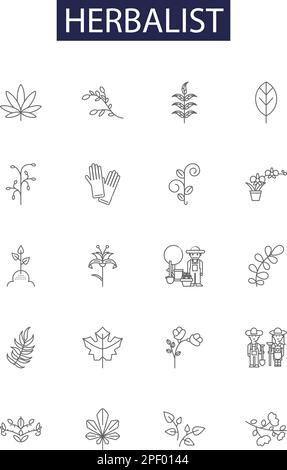 Kräuterlinienvektorsymbole und -Zeichen. Herbalismus, Kräuter, Herbologie, Botanik, Medizin, Pflanzen, Heilmittel, natürliche Kontur Vektorbildungs-Set Stock Vektor