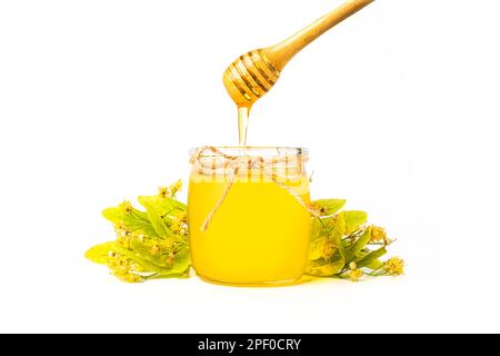 Isolierte Honigbiene in Glasgefäß mit Honigstiel auf weißem Hintergrund, Bienenprodukte. Gesundes Bio-Food-Konzept. Stockfoto